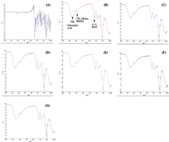 Fig. 3. FTIR chromatogram of extrudate solid formulations (ESFs) mediated various HPMCs and Na- Na-Alg polymer