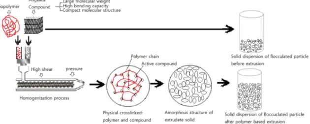 Fig. 4. Schematic illustration of extrudate solid formulations (ESFs) mediated various HPMCs and Na-Alg polymer and solid dispersions by hot melt extrusion process