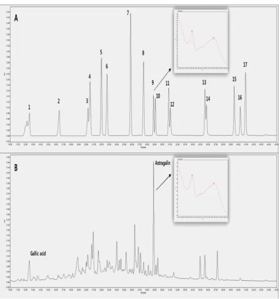 Table 1. Total polyphenol and total flavonoid contents in ethanol extract of Rosa multiflora