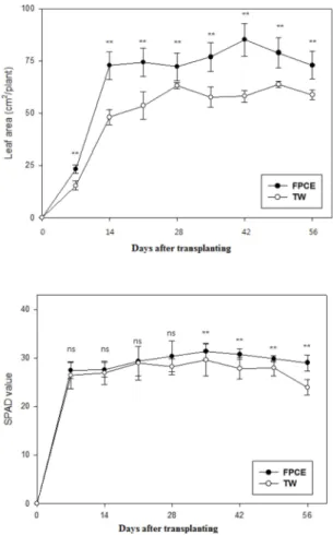 Fig. 1. Partial dry weight of ginseng sprouts applied fermented press cake extract (FPCE) and tap water (TW) after transplanting seedling