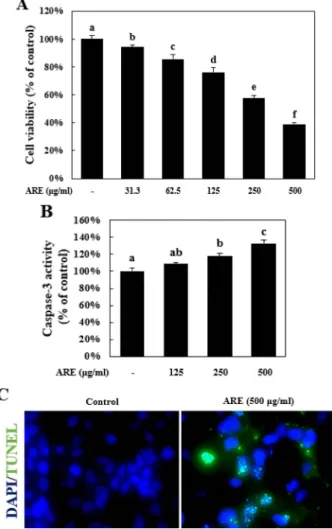 Fig. 1. ARE increased caspase-3 protein activation and DNA fragmentation in 116 cells