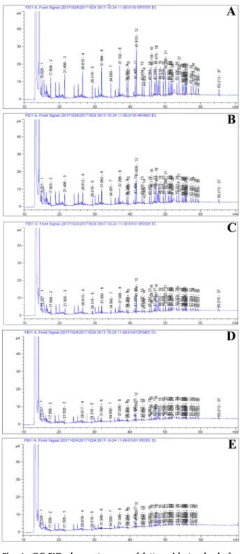 Fig. 1. GC-FID chromatogram of fatty acid standards for quantitative analysis. Concentrations of each standards were diluted to A; 1/4, B; 1/8, C; 1/16, D;