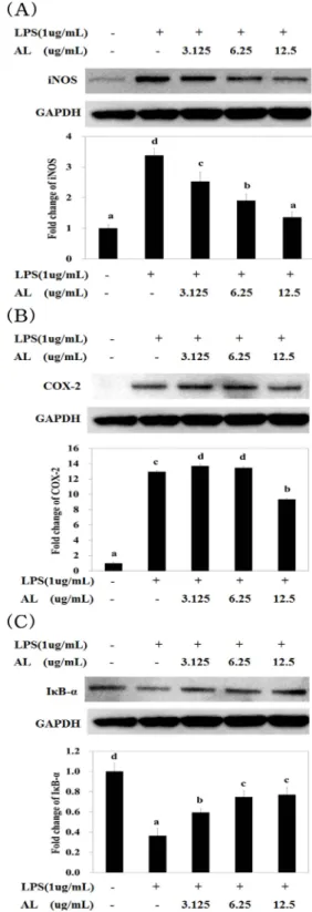 Fig. 5. Effect of AL on the expression of iNOS (A), COX-2 (B), I κB-α (C) by LPS treated RAW264.7  cells