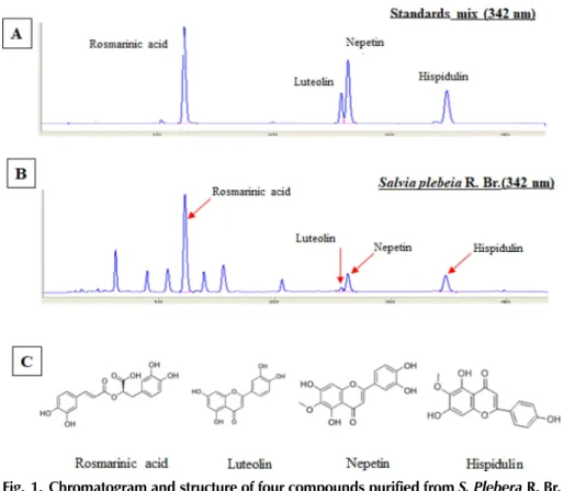 Fig. 1. Chromatogram and structure of four compounds purified from S. Plebera R. Br.