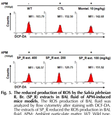 Fig.  5. The reduced production of ROS by the Salvia plebeian R. Br.  (SP_R) extracts in BAL fluid of APM-induced mice models