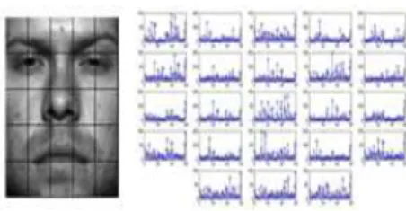 Fig.  1.  Comparison  of  sparse  solutions  by  L 1   and  L 2
