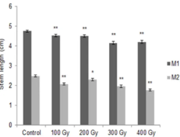 Fig.  5. Effect of gamma ray on the length of cotyledon and true leaf of Senna tora. A; M1, B; M2.