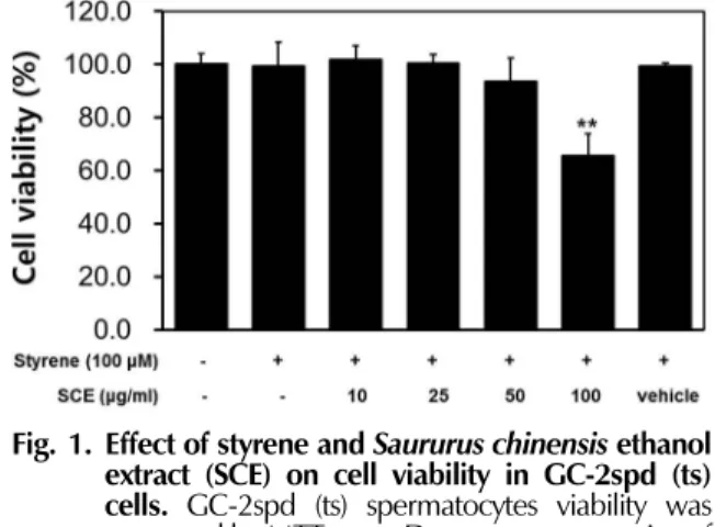 Fig. 1. Effect of styrene and Saururus chinensis ethanol extract (SCE) on cell viability in GC-2spd (ts) cells