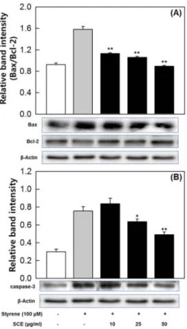 Fig. 4. Effects of SCE on the expression of apoptosis-related proteins in GC-2spd (ts) cells