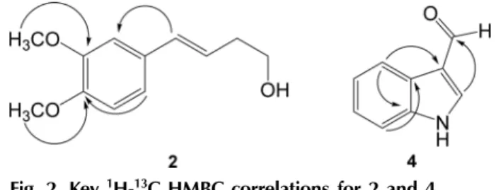 Fig. 2. Key  1 H- 13 C HMBC correlations for 2 and 4.