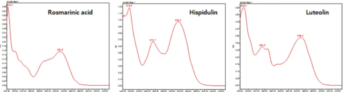 Fig. 7. Identification of hispidulin from 20 : 1 and 10 : 1 chloroform:methanol fractions.