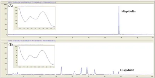 Fig. 2. HPLC chromatogram and UV spectrum of hispidulin. (A); standard, (B); Salvia plebeia R