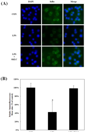 Fig. 5. Effect of SKLC on LPS-induced iNOS and COX-2 gene (A, B) and protein expression (C) in RAW 264.7 cells