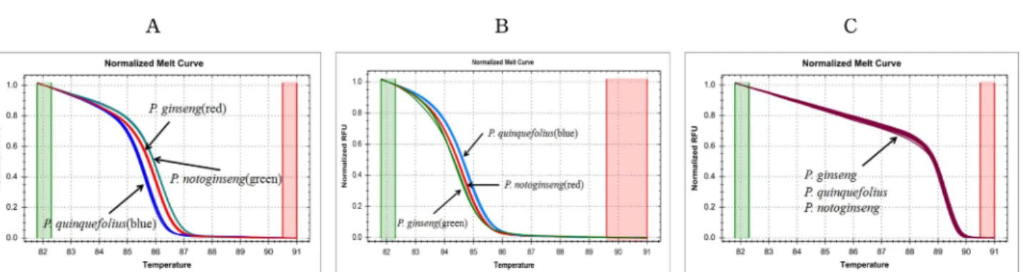 Fig. 3. Normalized high resolution melting (HRM) curve profiles of PCR amplicons using the primers