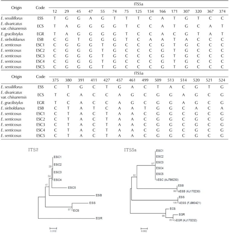 Fig. 3. Neighbor-joining trees of nrDNA sequences of  Eleutherococcus species. ESS; E
