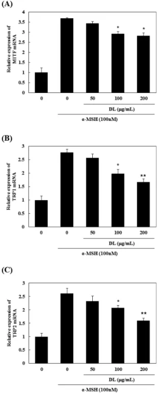 Fig. 5. Effect of the methanol extracts of DL on α-MSH induced tyrosinase protein expression in B16F10 cells