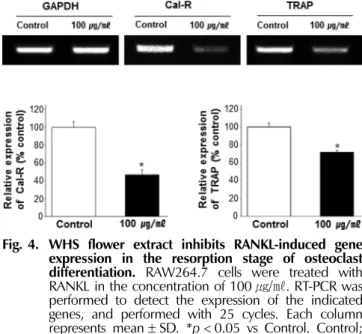 Fig. 4. WHS flower extract inhibits RANKL-induced gene expression in the resorption stage of osteoclast differentiation