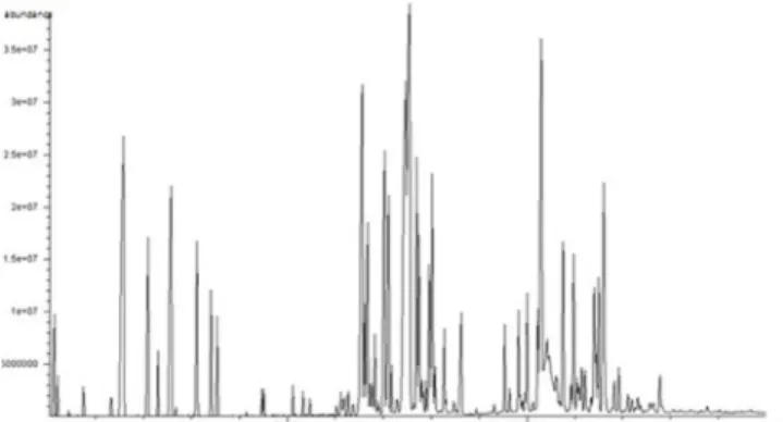 Fig. 1. GC  chromatograms  of  Chamaecyparis obtusa leaf essential oil (CLEO).