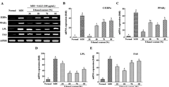 Fig.  3. Effect of SALE on the mRNA expression of transcriptional factors and adipocytes-specific genes.