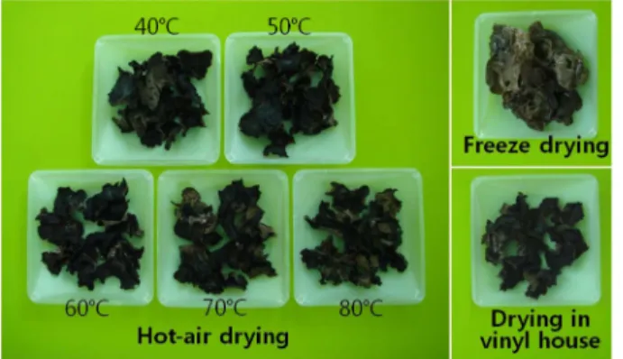 Fig. 1. The shape changes by drying methods in ear mushroom.