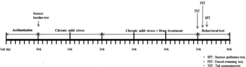 Table 1. Chronic mild stress regime.
