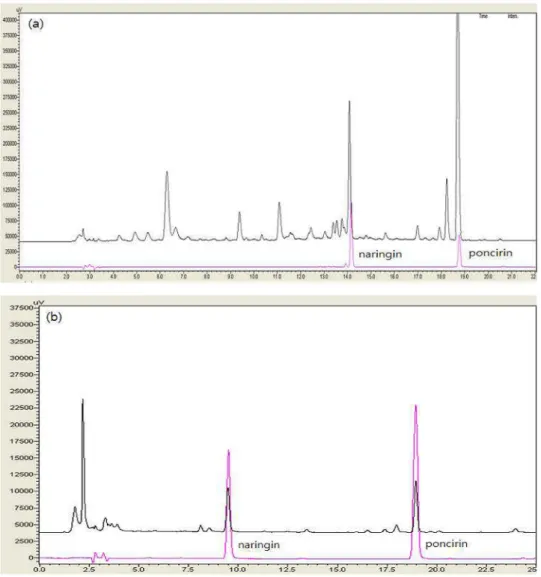 Fig. 2. Chromatograms of poncirin and naringin in standard and the sample at 313nm. 