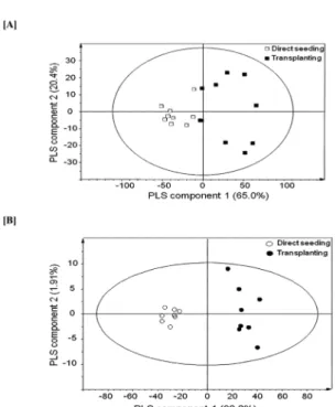 Table 2. VIP of various peaks of HPLC chromatogram of methanol extracts main and lateral of P