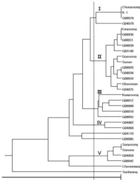 Fig. 5. Dendrogram of genetic similarity among 11 Korean ginseng cultivars and 20 breeding lines constructed on the data obtained with 11 EST-SSR primers.