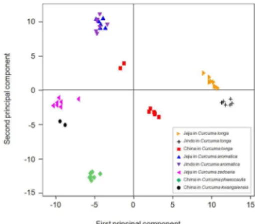 Fig.  3. The scatter plot of principal coordinate analysis (PCA) based on genomic fingerprinting using the AFLP in Curcuma 52 germplasm lines.
