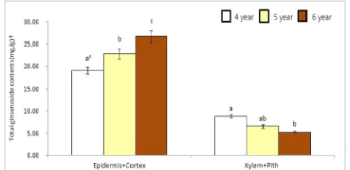 Fig. 1. Comparison of total ginsenoside content in inside part of main root and ages.  † Contents of total ginsenoside values were means ± SD (n = 3) by three times experiments