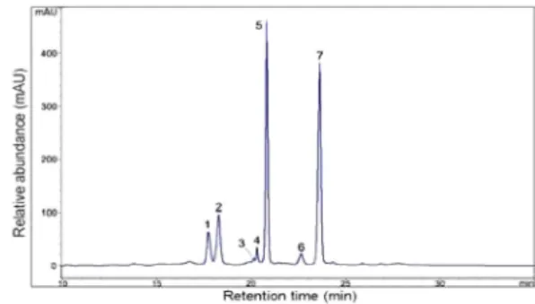 Fig. 1. HPLC profile of anthocyanins fraction in seed of L.