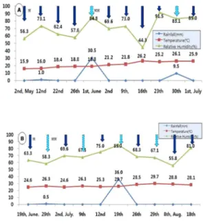 Fig.  1.  Weather condition in ginseng field from May to August in 2011 and 2012. The data were obtained from KMA (A;