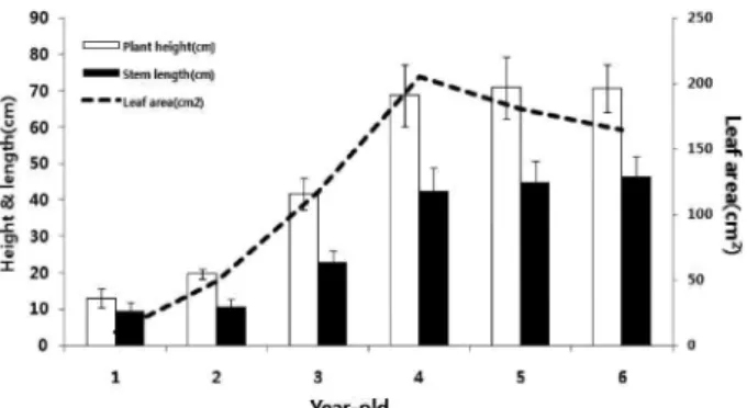 Fig. 1.  Comparison on growth characteristics in shoot of 1 to 6 year-old ginseng, investigated on August 24, 2010.