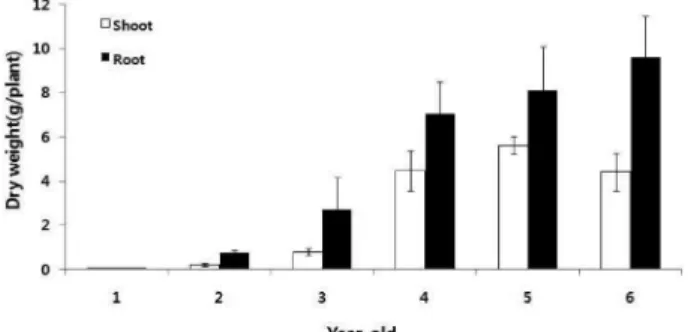 Fig. 3. Comparison of dry weights in shoot and root of 1 to 6 year-old ginseng, investigated on August 2010