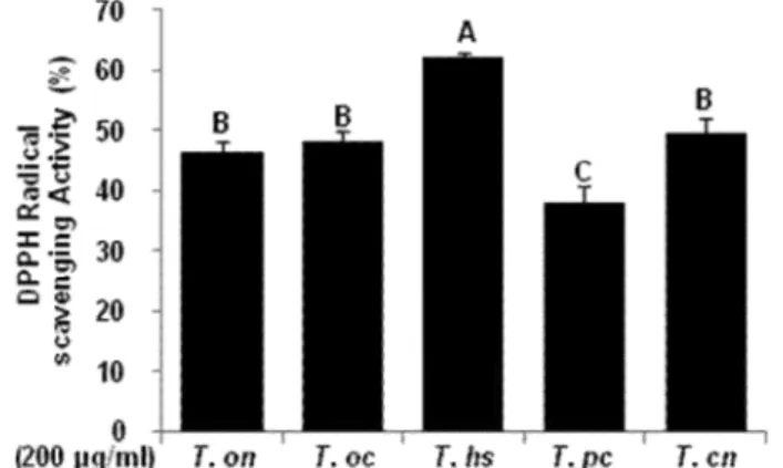 Fig.  2. Total flavonoid contents of extraction from five Taraxacum species. Each value is mean  ±  SD of triplicate,  significantly different at  p < 0.05 by Duncan’s multiple range test (A ~ D)