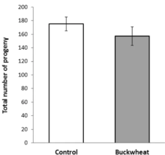 Fig.  4. Time-course distribution of progeny production in the control and the buckwheat (500 ㎎/L) group