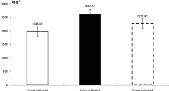 Fig. 2. The total average value of total phenolic compounds according to cultivated-year in Astragalus.