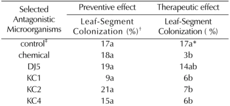 Table 3. Antifungal effect of selected antagonistic microorganisms on  A. panax.