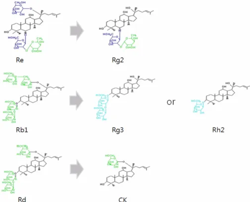 Fig. 2. Flask cultures of Bifidobacterium and Lactobacillus casei by fermentation in low grade fresh ginseng.