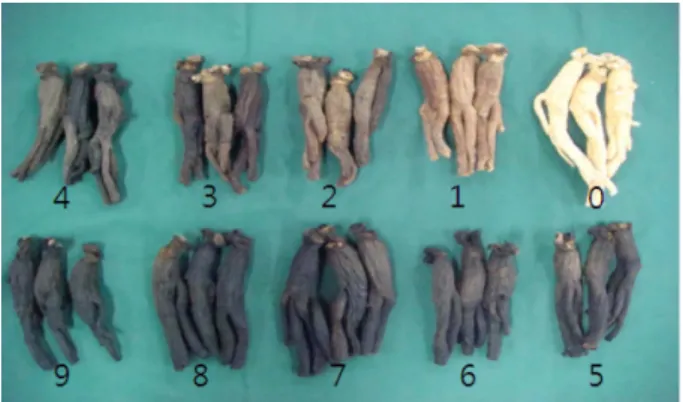 Table 1. Change of ginseng Hue value according to steaming times.