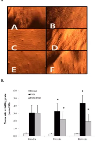Fig. 2. Effects of UDE treated mice with UV B on skin wrinkles.