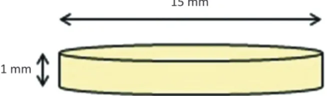 Fig. 1. Schematic drawing of specimen.