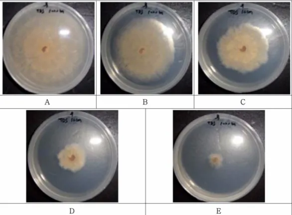 Fig. 3. Antifungal activity of TDS nanoparticle solution with different concentrations from  Colletotrichum gloeosporioides.