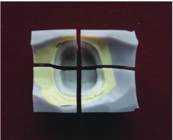 Fig. 1. Photograph of silicone replica after segmentation  in the mesio-distal and bucco-lingual directions (for  single).