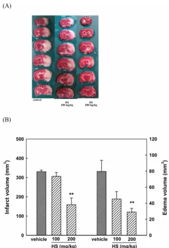 Fig. 4.  Inhibitory effect of HS0608 on H 2 O 2 -induced ROS generation in cultured cortical neurons