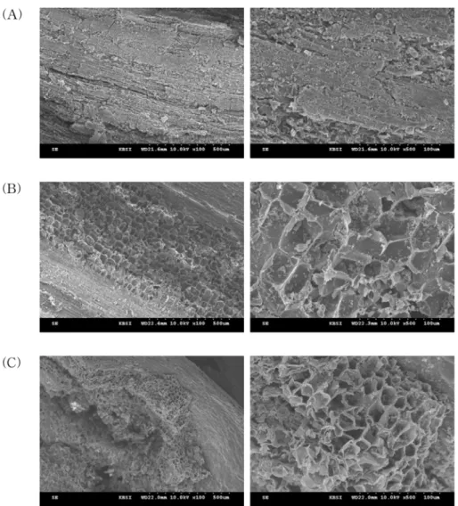 Fig. 4.  Morphology observation of fermented bark of  B. koreana  Palibin by SEM (Sanning Electron Microscope; left, ×100; right, ×500).