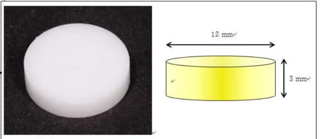 Fig. 1. Disk-shaped zirconia specimen used in this study.