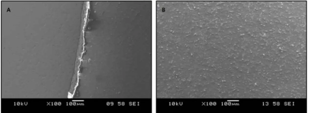 Fig. 10. SEM pictures of failure patterns(magnification x 100).