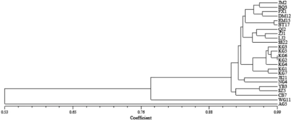 Fig. 3.  Principal component analysis based on SRAP patterns in cultivated ginseng, 1-22, 22 cultivated ginseng in Table 1.