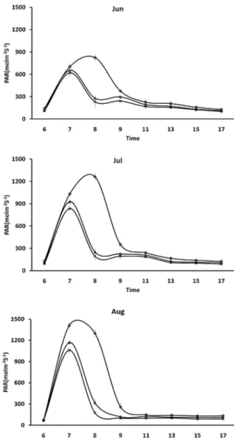 Fig. 1.  Changes of PAR(photosynthetic active radiation) according to different planting positions and growth stages ( ○ : Front,  △ : Center, ×: Rear) .